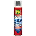 kb Freeze insectes la bombe de 300 ml