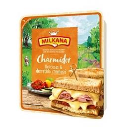 Queijo fatias charmidor