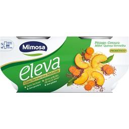 Iogurte eleva com fermentos naturais pêssego, cenour...