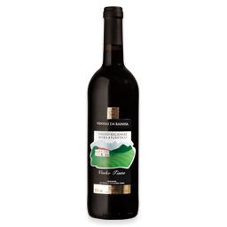 Vinho tinto beiras